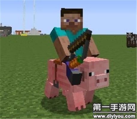 我的世界，服务器如何骑在宠物身上？（我的世界坐骑组件在哪里）