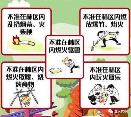 森林防火中什么是"五不准,五禁止"？（我的世界污染森林在哪里）