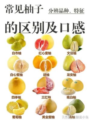 柚子须白满天星og版是什么意思？（我的世界原版柚子在哪里）