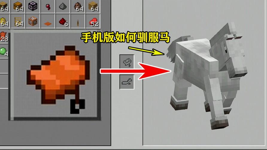 我的世界中坐骑怎么用？（我的世界坐骑去哪里了）