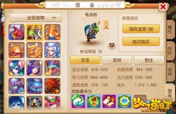 造梦西游ol手游龙宫有宠物吗？（我的世界西游龙宫在哪里）