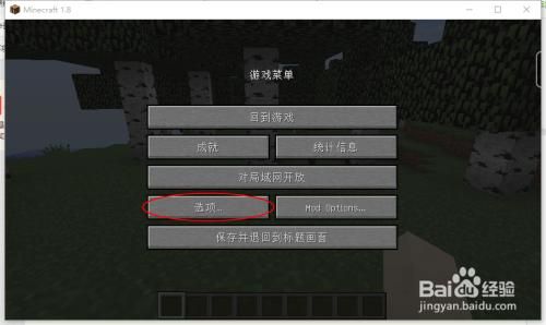 我的世界国际版iPad光影追踪怎么开？（我的世界beta哪里有得下）