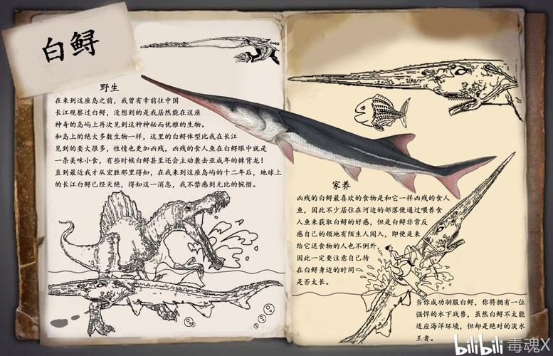 白鲟可以复活吗？（我的世界白鲟在哪里生成）