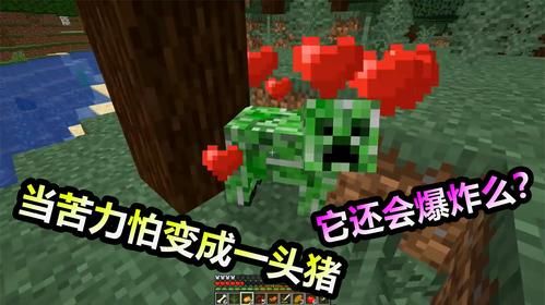 我的世界怎么召唤巨型苦力怕？（我的世界巨型猪在哪里）