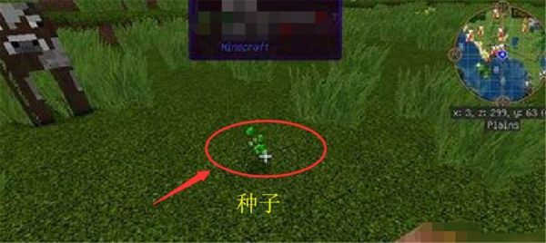 我的世界怎么获取小麦种子？（我的世界胡萝卜哪里获得）