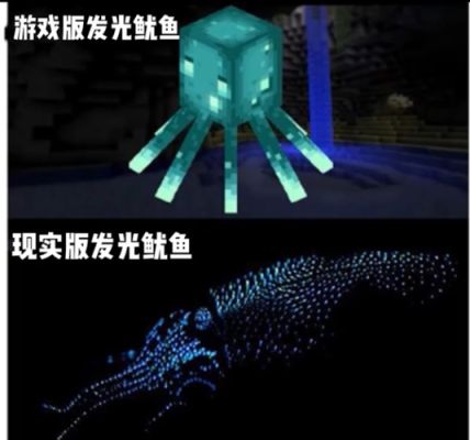 石弓桃花岛晚上可以玩吗？（我的世界鱿鱼农场在哪里）