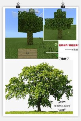我的世界暮色橡树怎么种？（我的世界橡树原木在哪里）