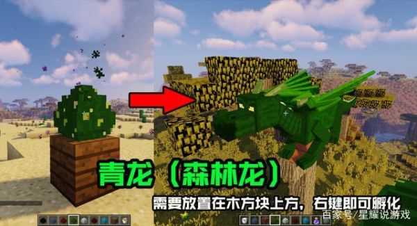 主角是一头青龙的小说？（我的世界龙之子在哪里）