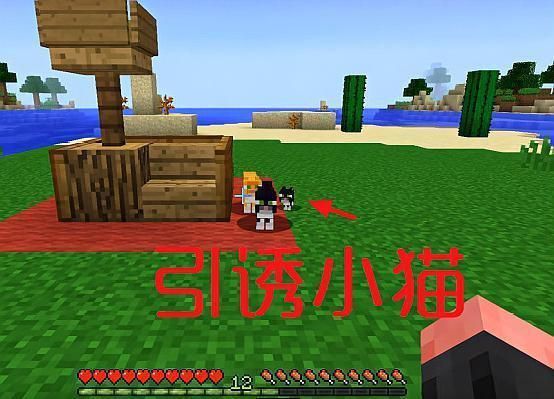 我的世界怎么保护基地？（我的世界哪里有猫猫基地）