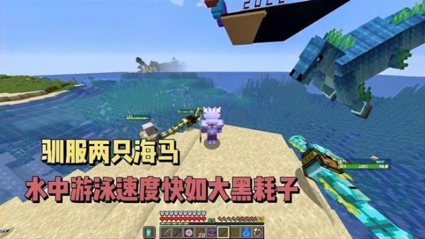 我的世界冰与火之歌海马怎么骑？（我的世界海马在哪里驯服）