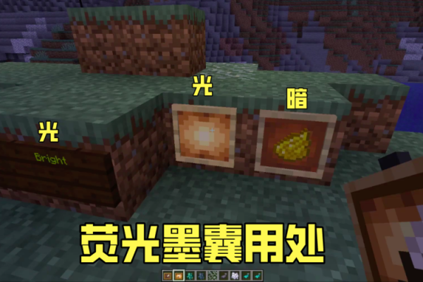 发光地衣怎么发光？（我的世界发光地衣哪里有）