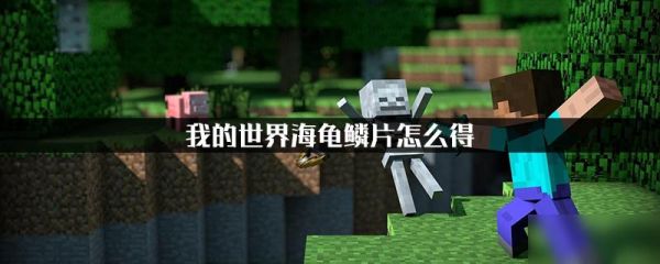 我的世界乌龟鳞甲怎么得？（我的世界哪里容易找到海龟）