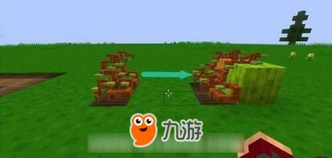 我的世界怎么找到西瓜？（我的世界沙漠西瓜在哪里）