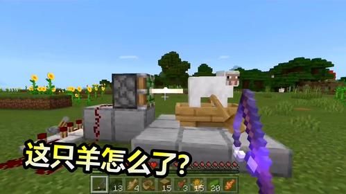 为什么小羊跑得最快？（我的世界小羊哪里跑得最快）