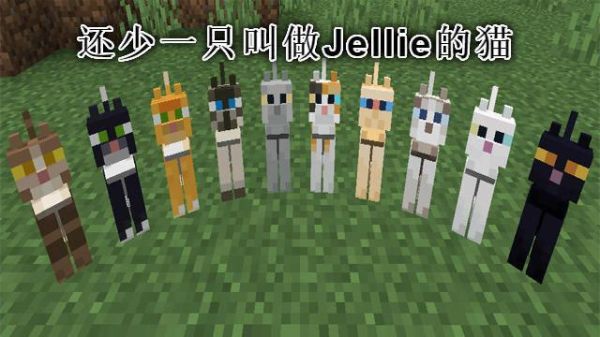 猫跑出去会回来吗？（我的世界猫哪里容易找到）