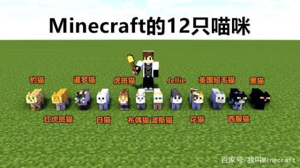怎么防止猫越狱？（我的世界猫越狱在哪里）