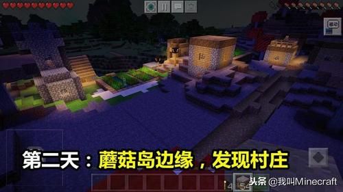 如何在我的世界中种蘑菇树、蘑菇田？（我的世界蘑菇种哪里买）