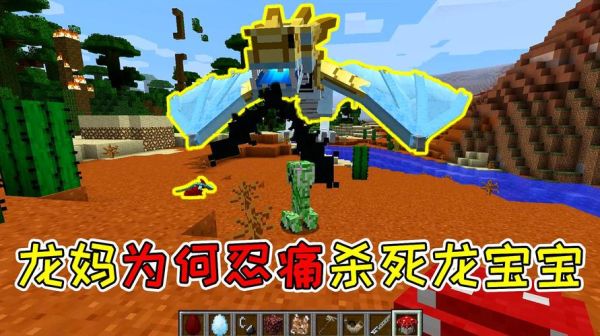 我的世界怎么造士兵龙？（我的世界火龙在哪里打）