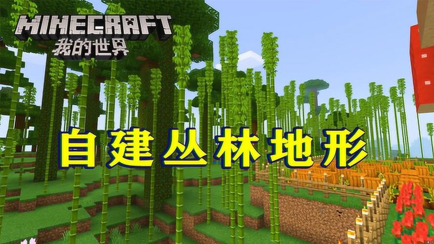 我的世界哪里有竹子？（我的世界竹林村庄在哪里）