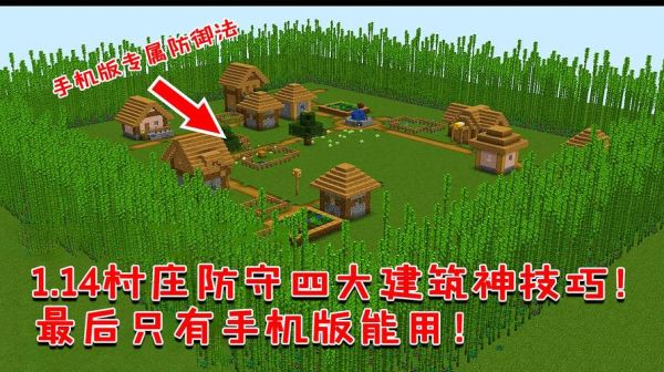 我的世界怎么建村庄守卫军？（我的世界村庄守卫在哪里）