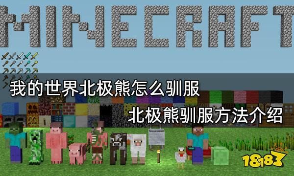 我的世界手机版北极熊怎么驯服？（我的世界企鹅在哪里出现）