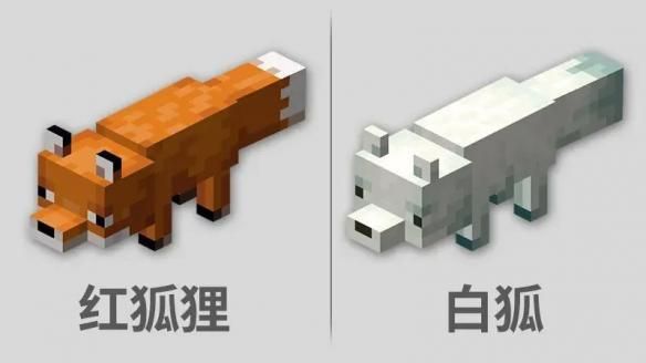 戈壁滩一般是什么生物？（我的世界野狐狸在哪里）