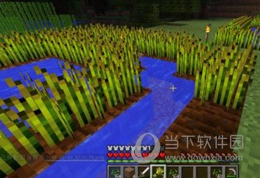 多多养牛真的能提现吗？（我的世界养大牛在哪里）