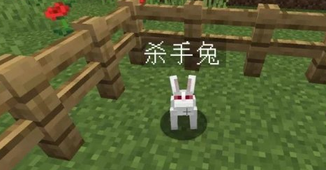 我的世界杀手兔命名牌的指令？（我的世界杀手兔在哪里）