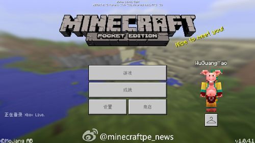 pubg要下载几个文件？（我的世界核心文件哪里下载）