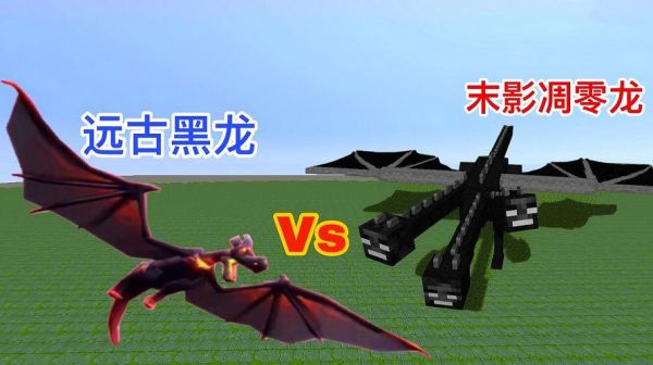 黑龙是哪位神仙的护法？（我的世界法师护法在哪里）