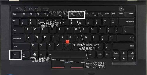 戴尔笔记本f键和功能键怎么切换？（我的世界哪里有f键）