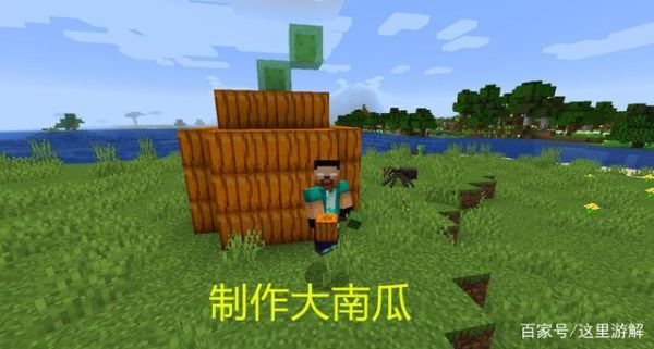 pumpkin单数是加a吗？（我的世界空心南瓜哪里有）