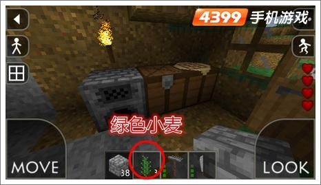 生存战争如何获得小麦种子？（我的世界麦种从哪里获得）