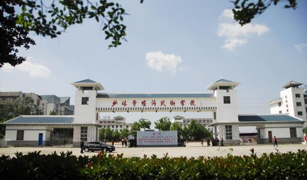 河南塔沟武校怎么样？（我的世界武术学院在哪里）