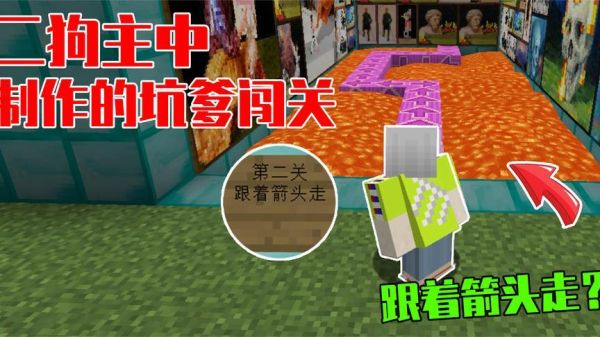 宠物博主怎么直播？（我的世界二狗子哪里直播）