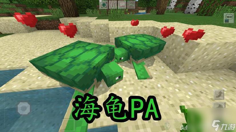 我的世界王八壳怎么获得？（我的世界按哪里钓鱼好）