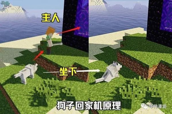 我的世界怎么把狗拴在柱子上？（我的世界狗栓在哪里）