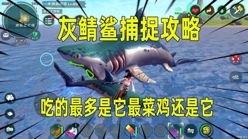 创造与魔法鲨鱼怎么抓鲨鱼捕捉方法？（我的世界鲨鱼在哪里抓）