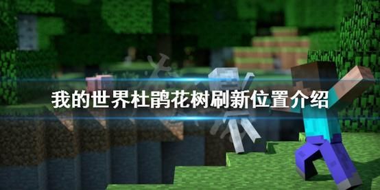 我的世界杜鹃树生长在什么地方？（我的世界杜鹃在哪里生存）