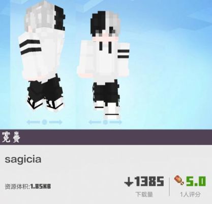 电脑minecraft怎么获得皮肤？（我的世界从哪里买皮肤）
