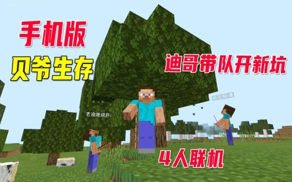 我的世界贝爷前期怎么玩？（我的世界贝爷哪里玩）