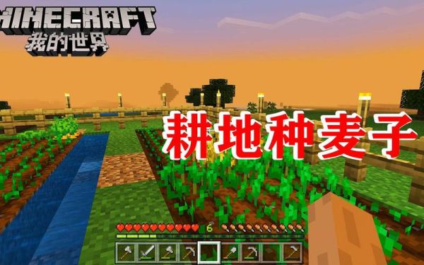 我的世界怎么看植物生长进度？（我的世界哪里种子最肥沃）