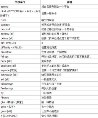 我的世界魂师大陆怎么输入代码？（在我的世界哪里输入代码）