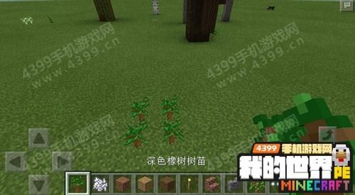深色橡树苗怎么催熟？（我的世界深色橡树在哪里）