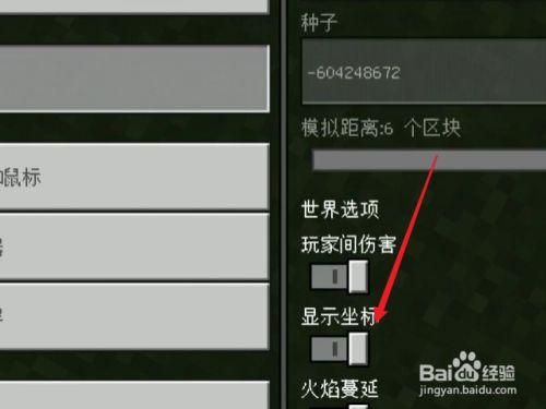 我的世界怎么显示队友坐标？（我的世界里坐标在哪里）