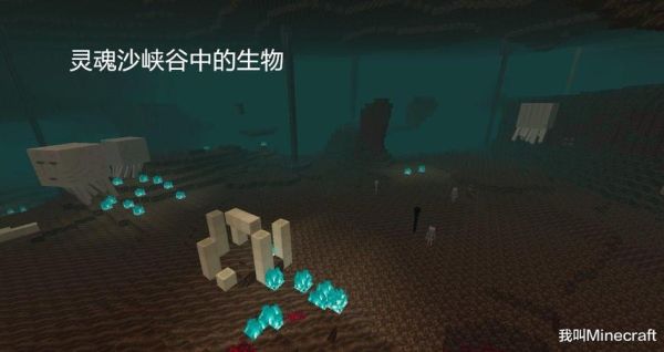 我的世界下界灵魂沙峡谷怎么玩？（灵魂沙在我的世界哪里）