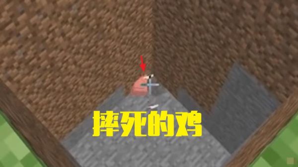 鸡从高楼跳下会摔死吗？（我的世界落地鸡在哪里）