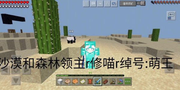 改掉公主病的最好方法？（我的世界公举病在哪里）