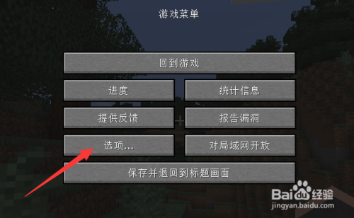我的世界光亮度怎么查看？（我的世界在哪里查看亮度）