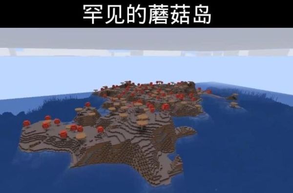 蘑菇岛一般在什么地方？（我的世界哪里寻找蘑菇岛）